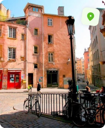traitement punaise de lit vieux lyon