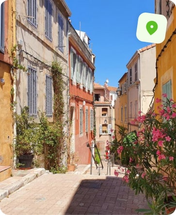 traitement punaise de lit marseille le panier
