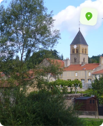 traitement punaise de lit metz vallières