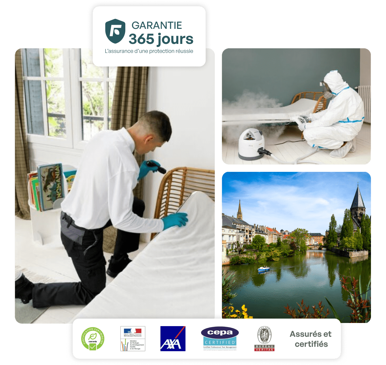 traitement punaise de lit metz