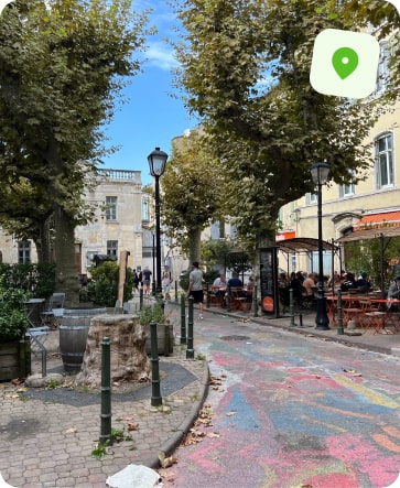 traitement punaise de lit montpellier les beaux arts