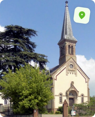 traitement punaise de lit mulhouse dornach