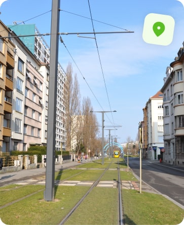 traitement punaise de lit mulhouse europe