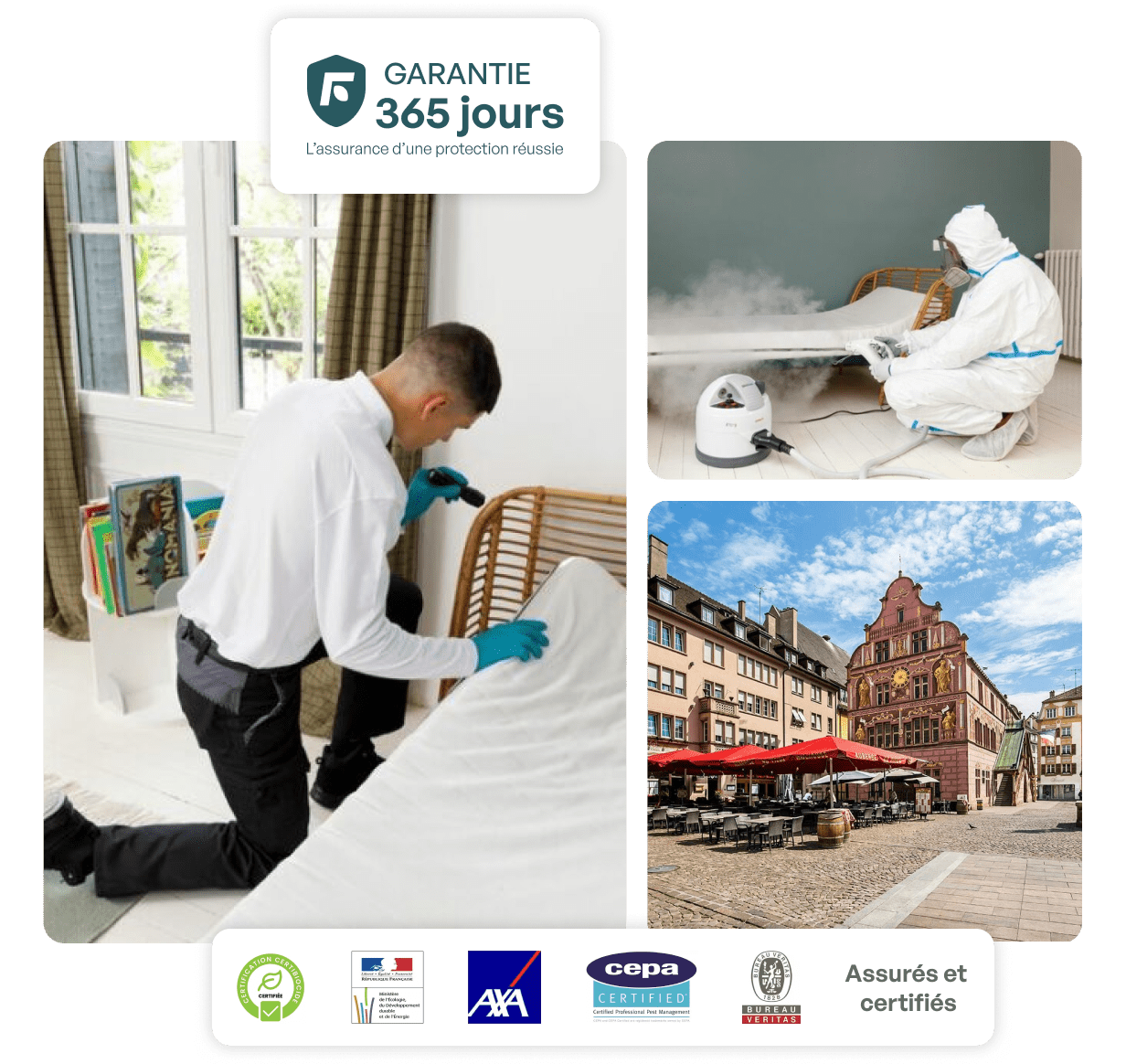 traitement punaise de lit mulhouse