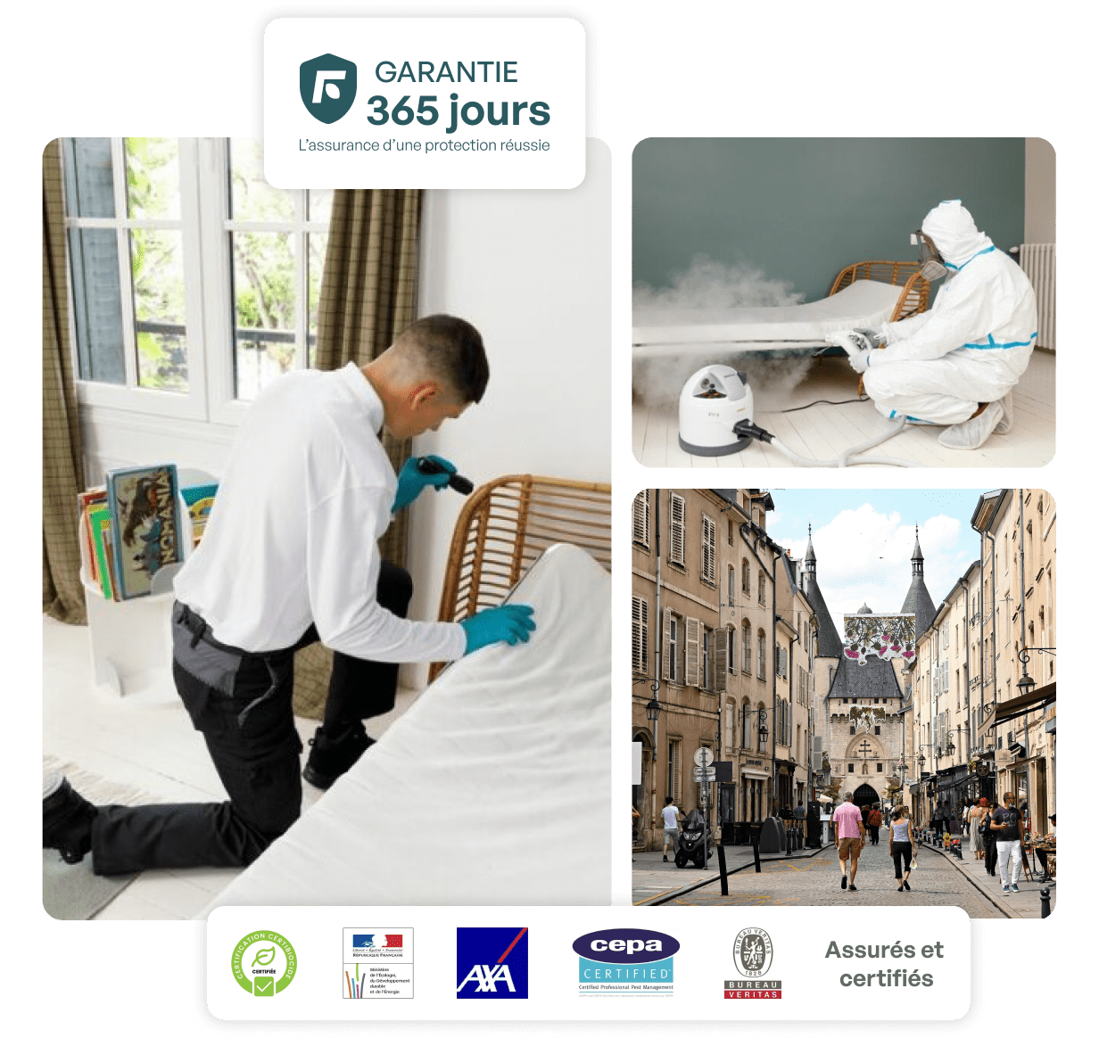 traitement punaise de lit nancy