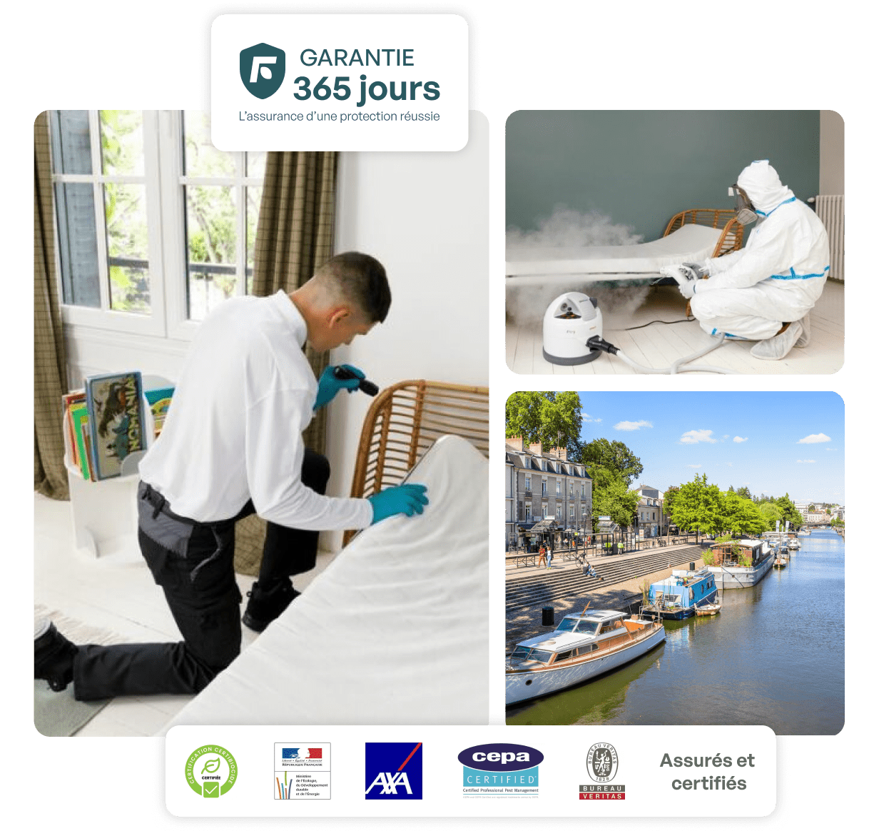 traitement punaise de lit nantes