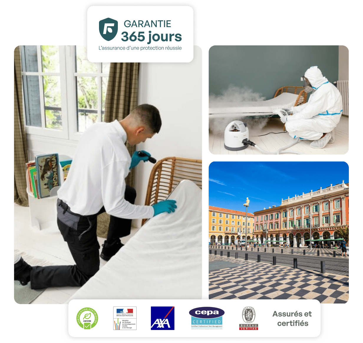traitement punaise de lit nice