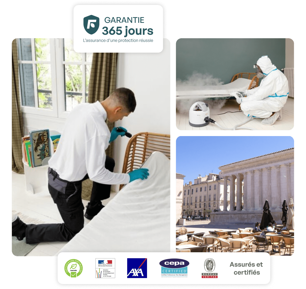 traitement punaise de lit nimes