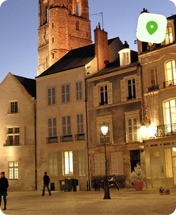 traitement punaise de lit orléans république-carmes