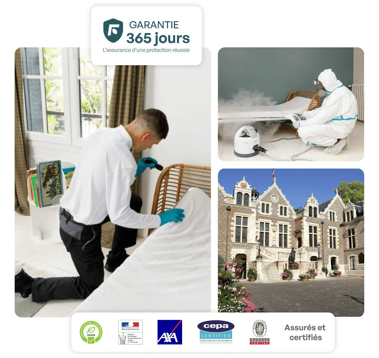 traitement punaise de lit orléans