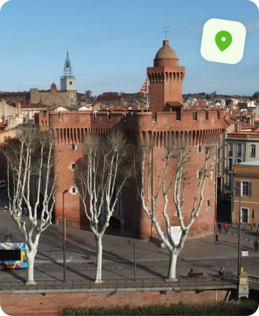 traitement punaise de lit perpignan castillet