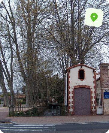 traitement punaise de lit perpignan le vernet