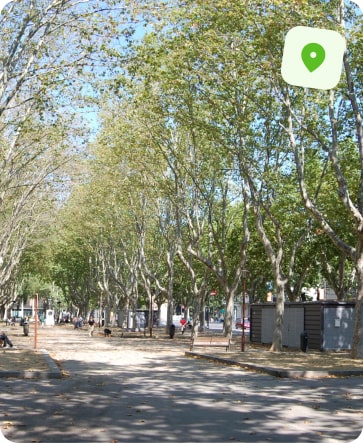 traitement punaise de lit perpignan les platanes