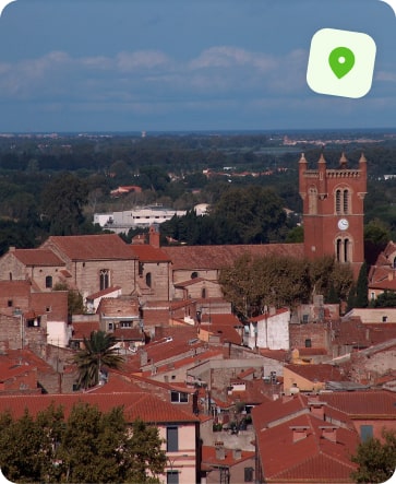 traitement punaise de lit perpignan saint jacques