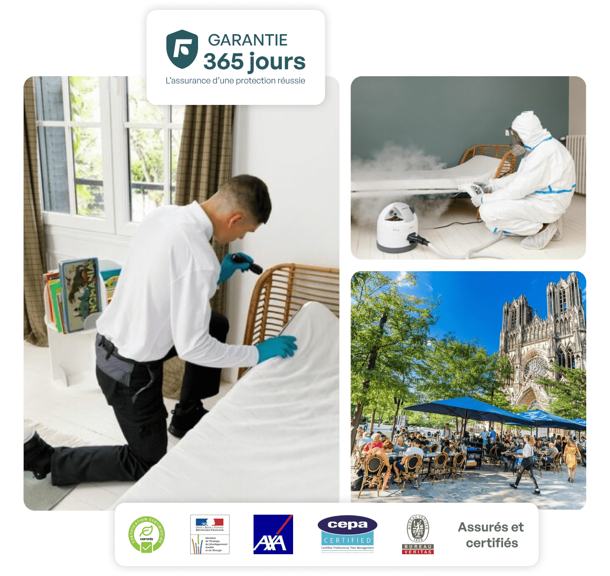 traitement punaise de lit reims