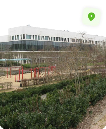 traitement punaise de lit rouen grammont