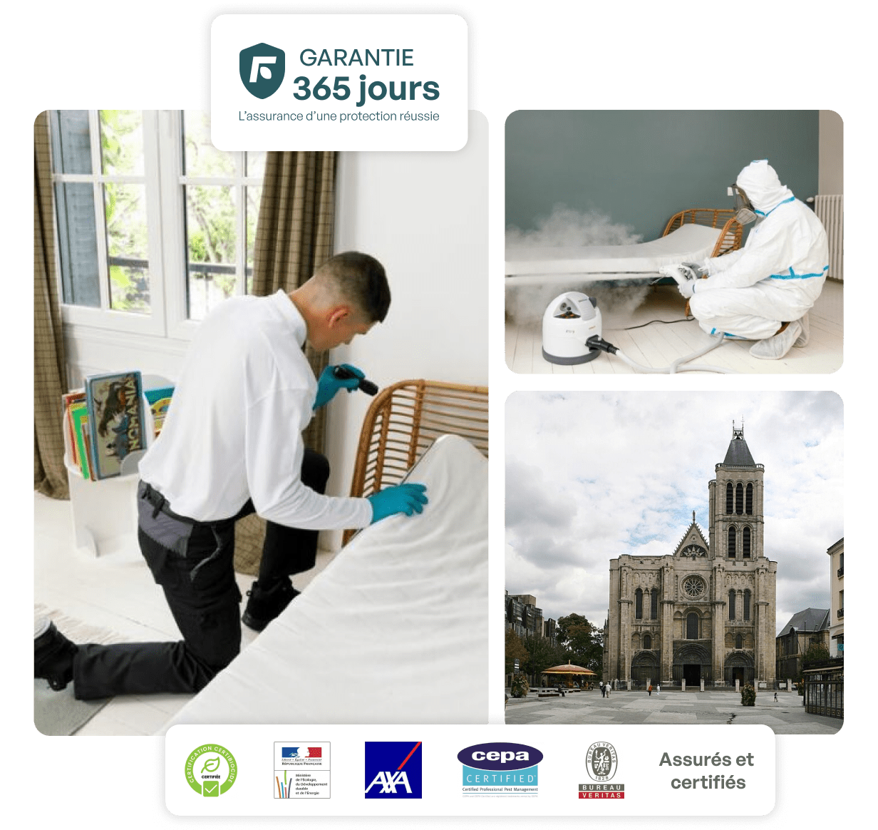 traitement punaise de lit saint-denis