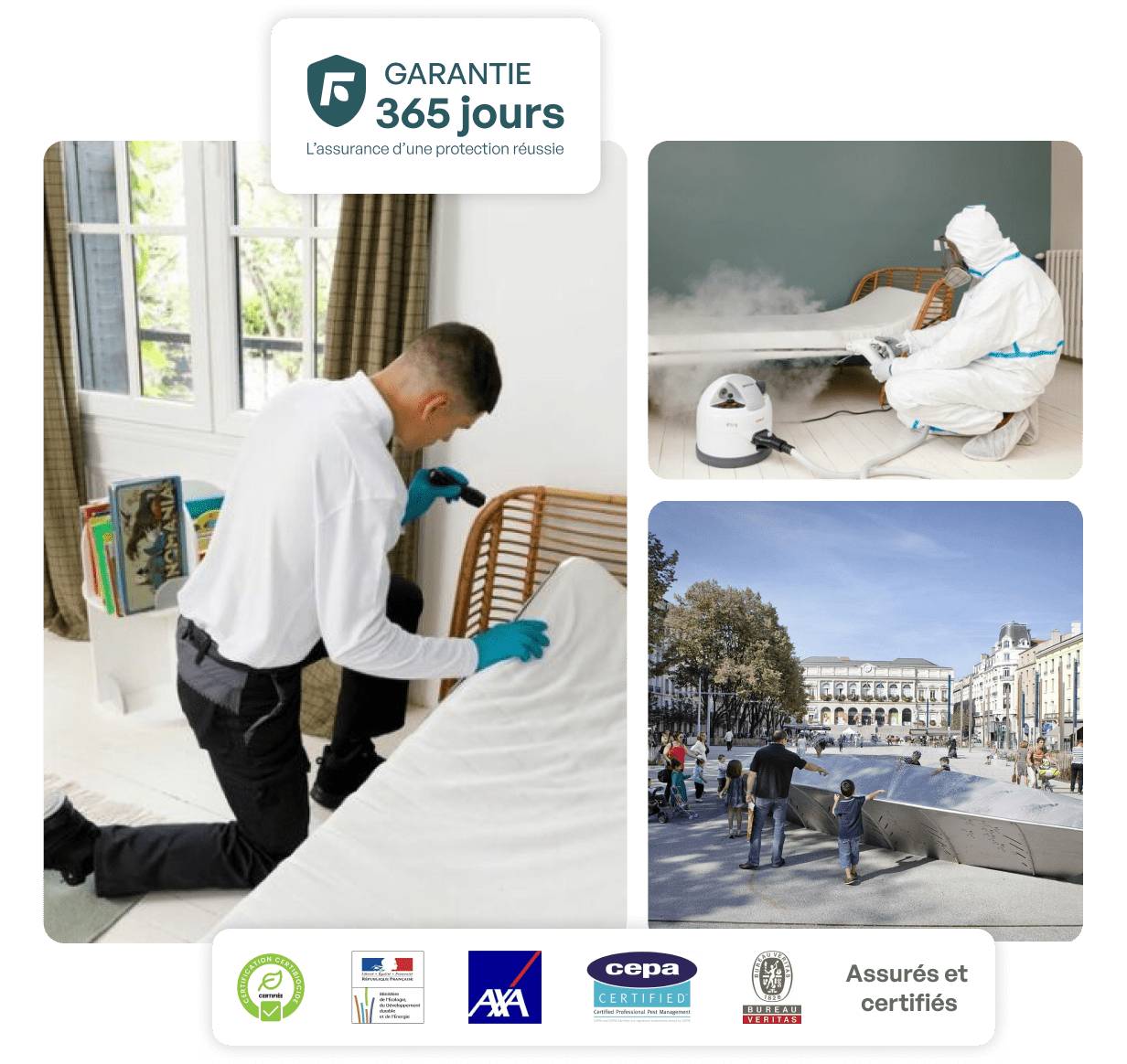 traitement punaise de lit saint-etienne