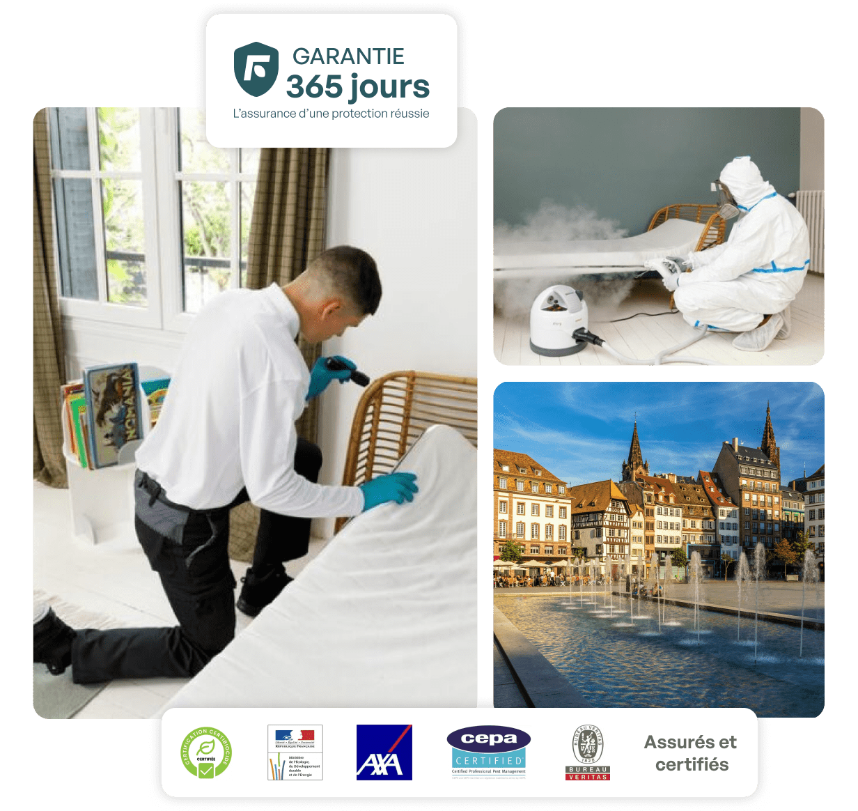 traitement punaise de lit strasbourg