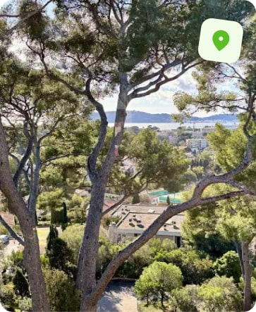 traitement punaise de lit toulon la serinette