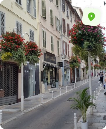 traitement punaise de lit toulon le mourillon