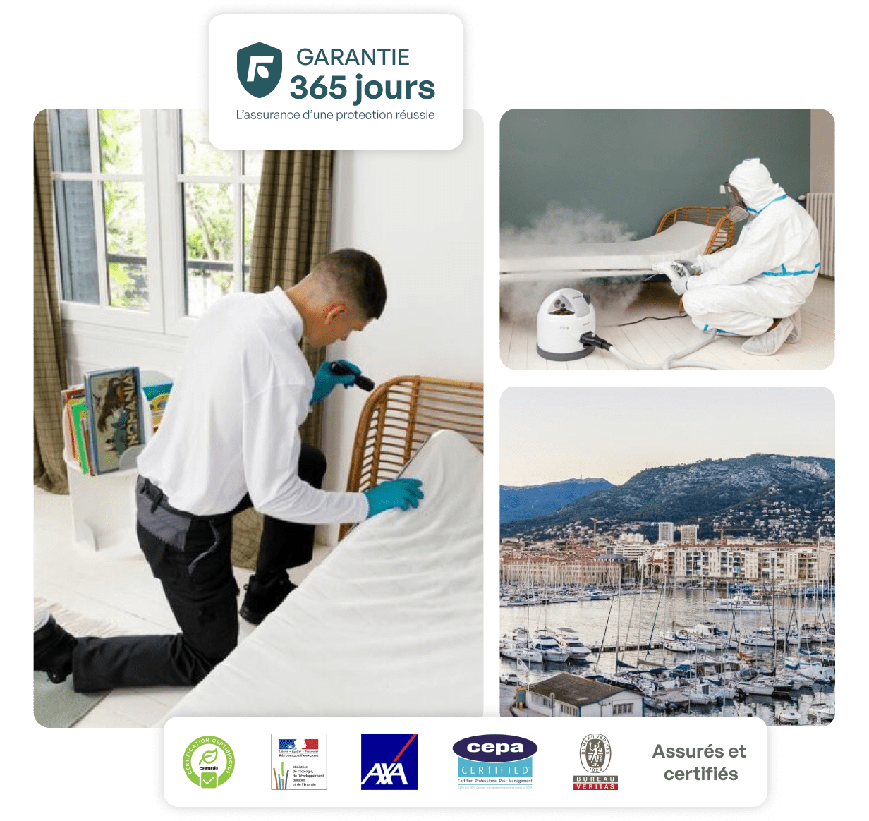 traitement punaise de lit toulon