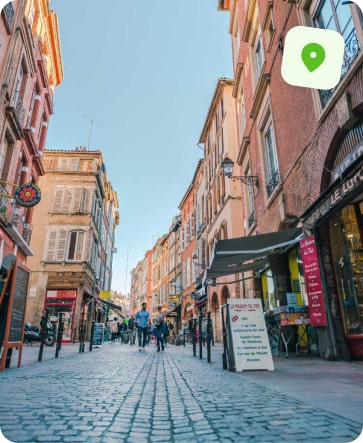 traitement punaise de lit toulouse carmes
