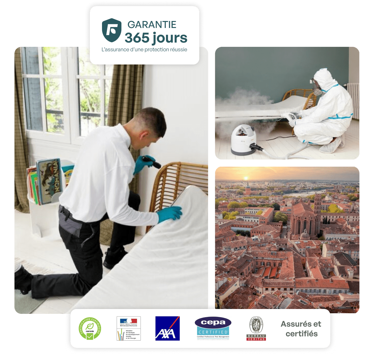 traitement punaise de lit toulouse