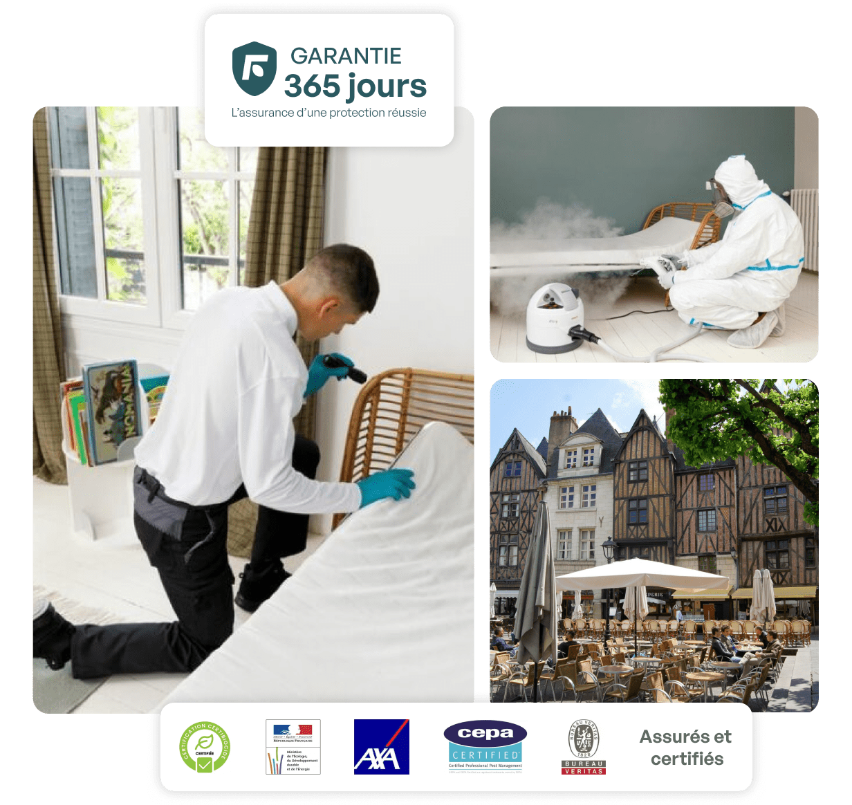 traitement punaise de lit tours